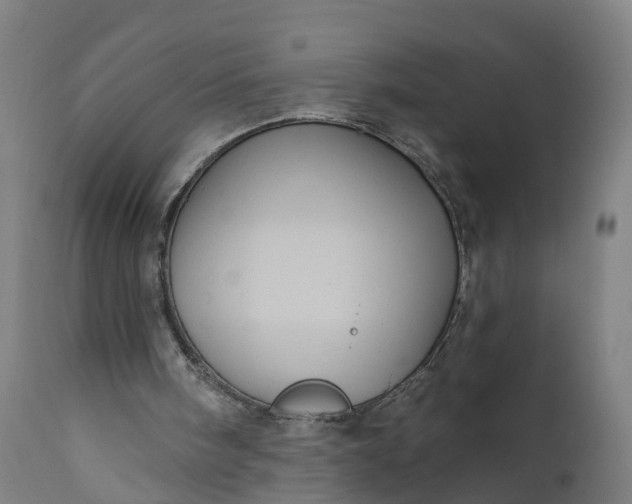 X0000111640098200907311302