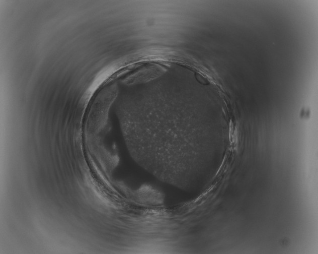 X0000111640099200907311302