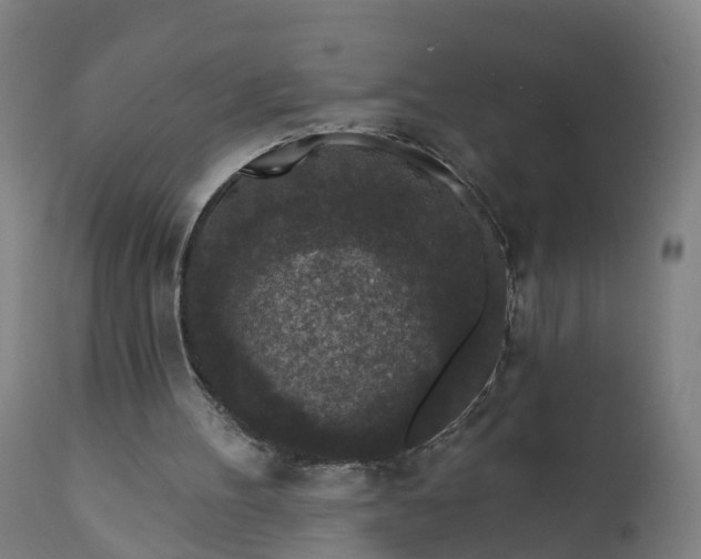 X0000111640100200907311302