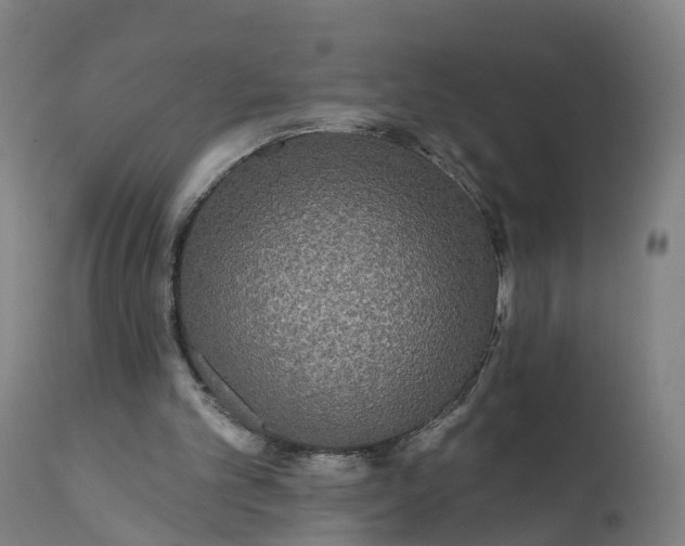 X0000111640101200907311302