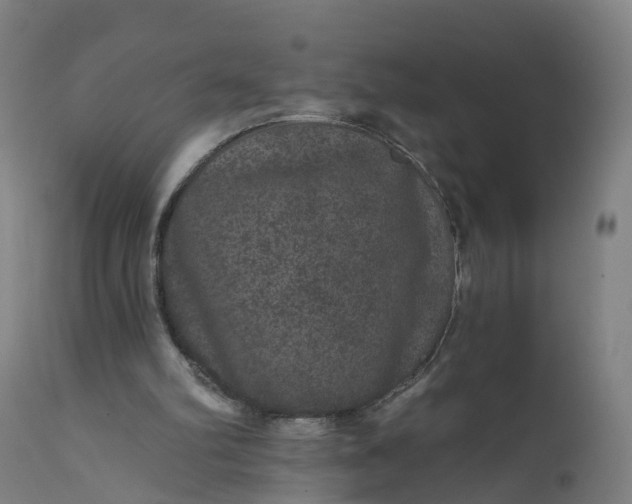 X0000111640102200907311302