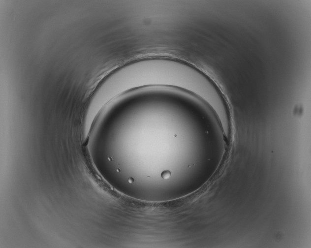 X0000111640105200907311302