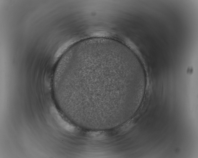 X0000111640106200907311302