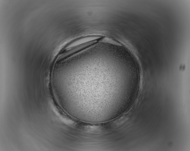 X0000111640107200907311302