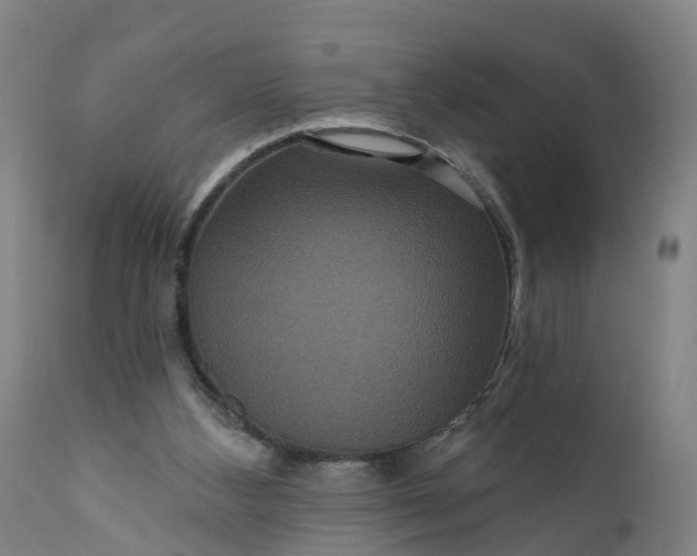 X0000111640108200907311302