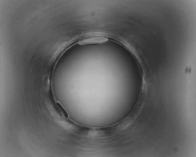 X0000111640109200907311302