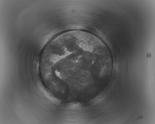 X0000111640110200907311302