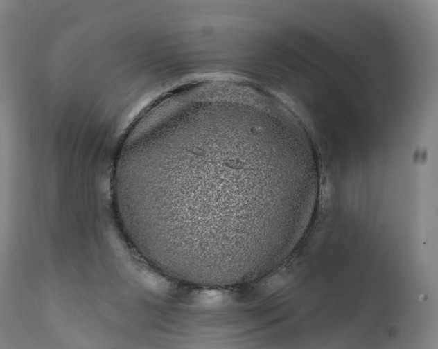 X0000111640111200907311302