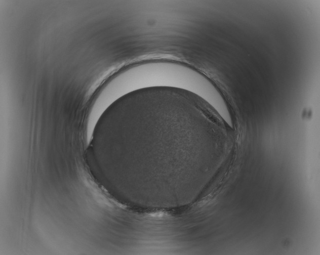 X0000111640112200907311302