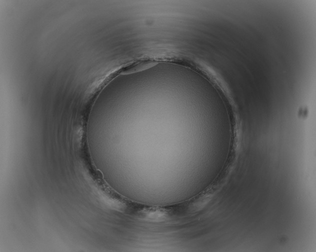 X0000111640113200907311302