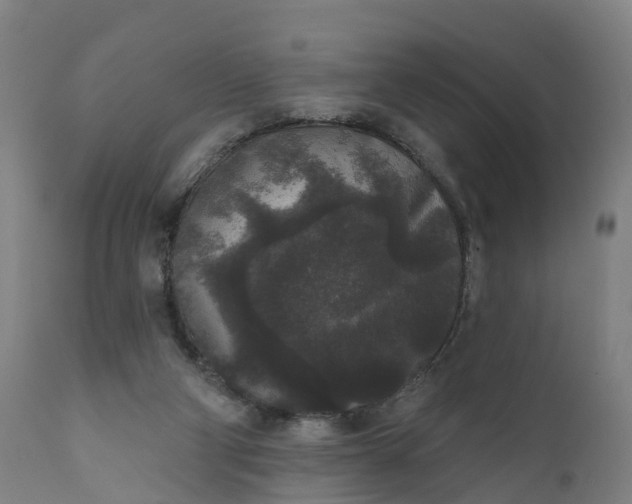 X0000111640114200907311302