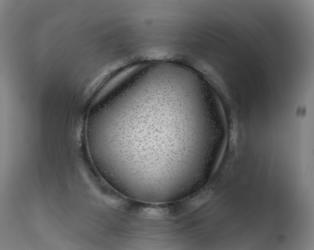 X0000111640115200907311302