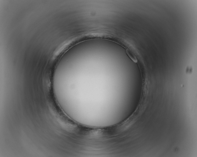 X0000111640116200907311302