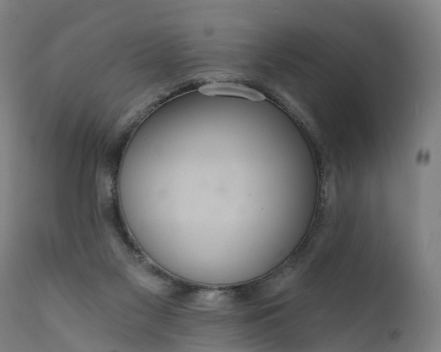 X0000111640117200907311302