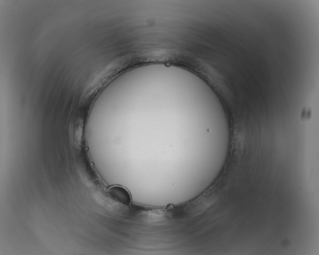 X0000111640118200907311302