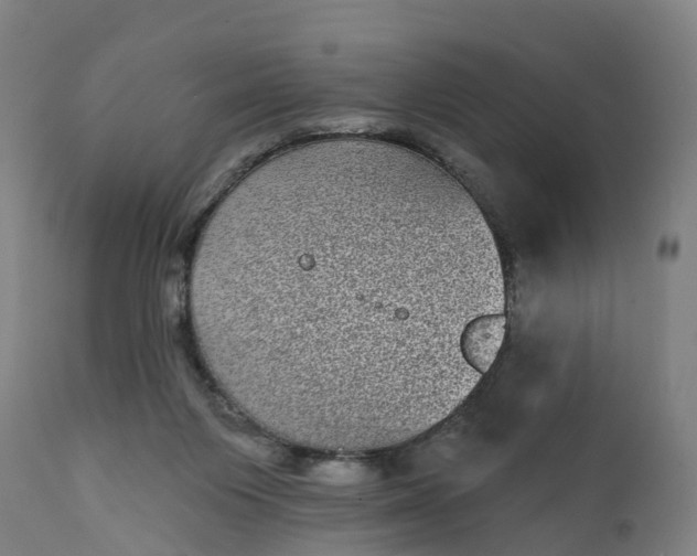 X0000111640119200907311302