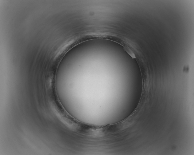 X0000111640120200907311302