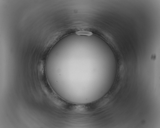 X0000111640121200907311302