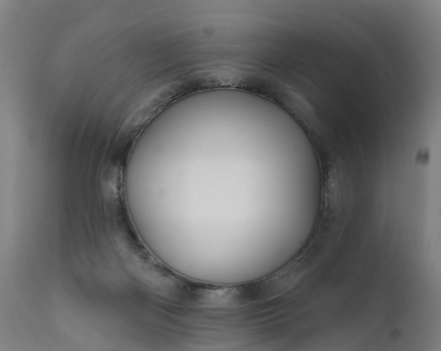 X0000111640122200907311302