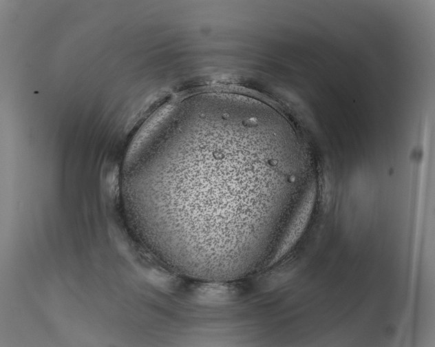 X0000111640123200907311302