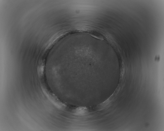 X0000111640124200907311302