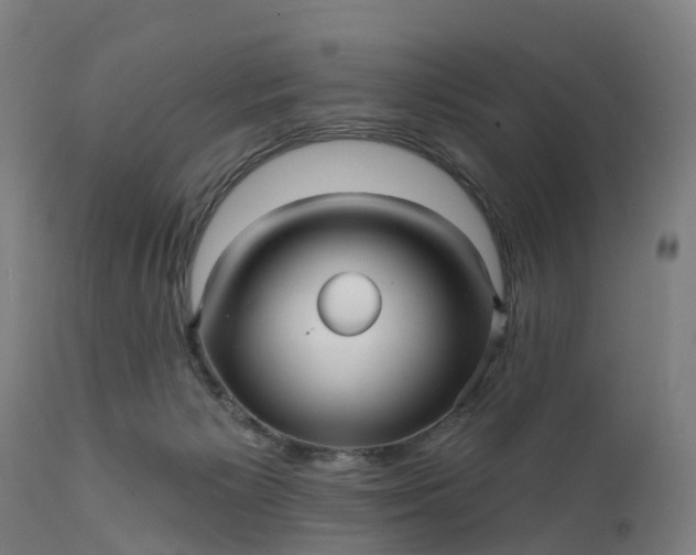 X0000111640125200907311302