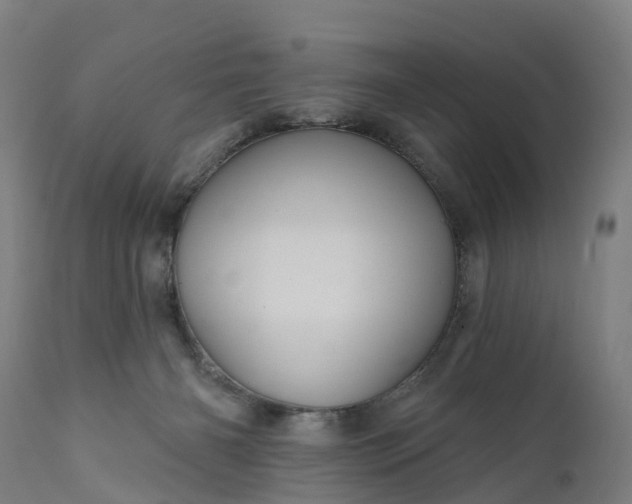 X0000111640126200907311302