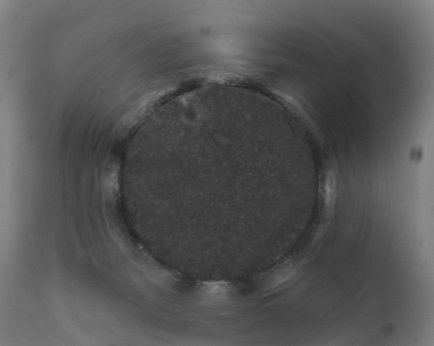 X0000111640127200907311302