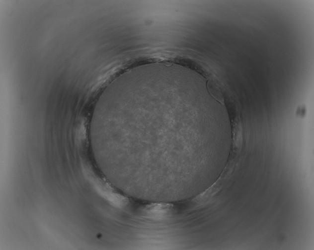 X0000111640128200907311302