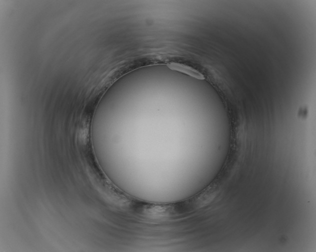 X0000111640129200907311302