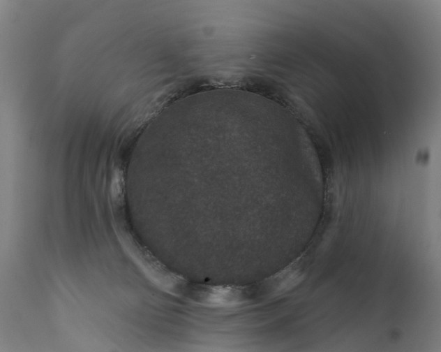 X0000111640130200907311302