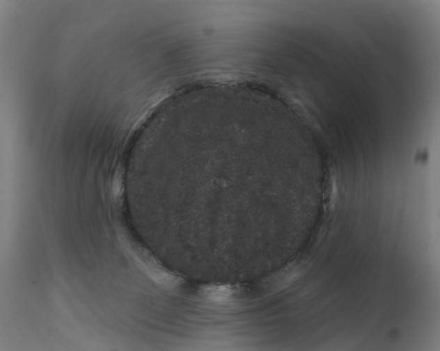 X0000111640131200907311302