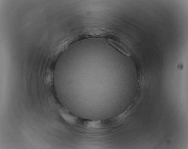 X0000111640132200907311302