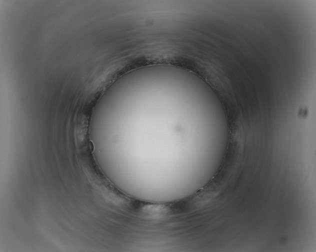 X0000111640133200907311302