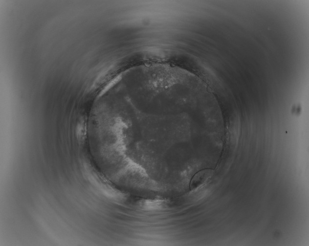 X0000111640134200907311302