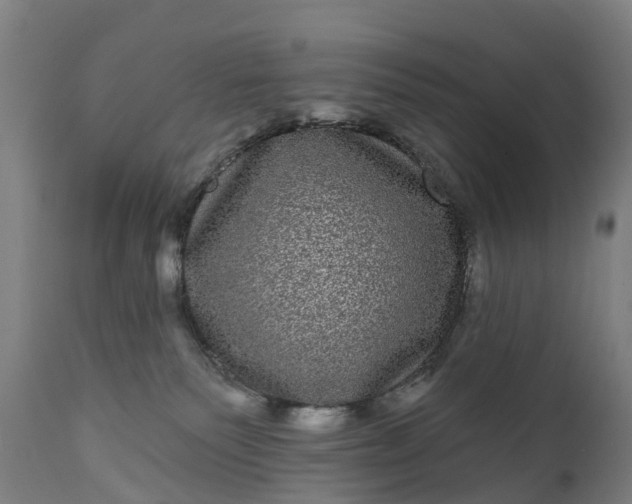 X0000111640135200907311302