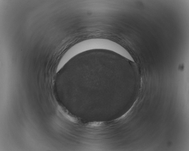 X0000111640136200907311302