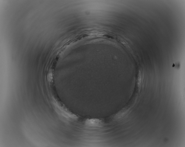 X0000111640137200907311301