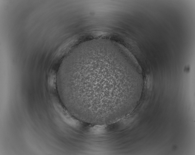 X0000111640138200907311301