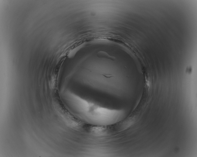 X0000111640139200907311301