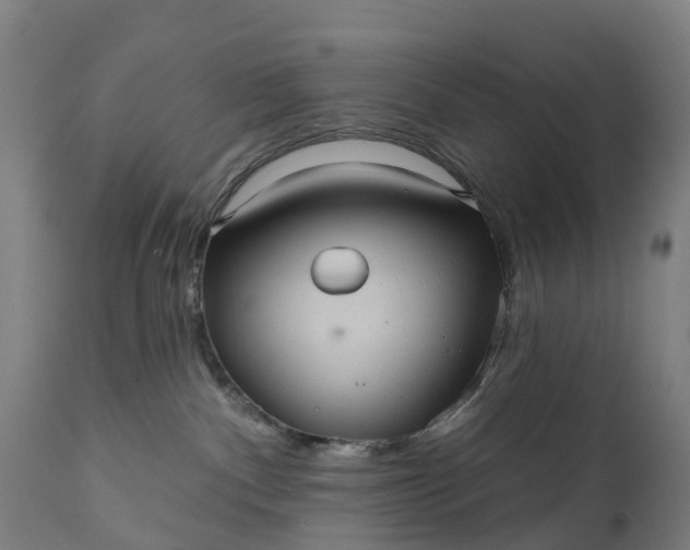 X0000111640140200907311301