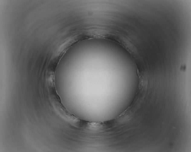 X0000111640141200907311301