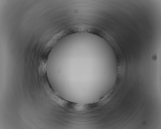 X0000111640142200907311301