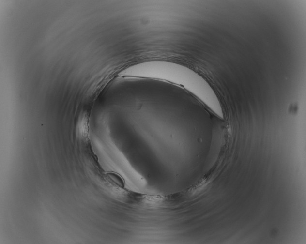 X0000111640143200907311301