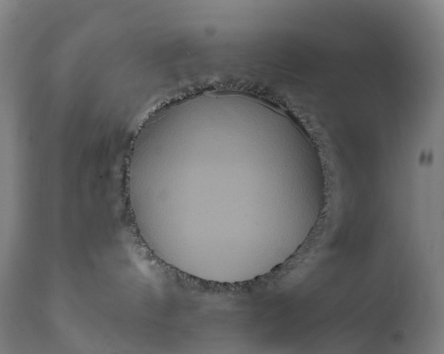 X0000111640144200907311301