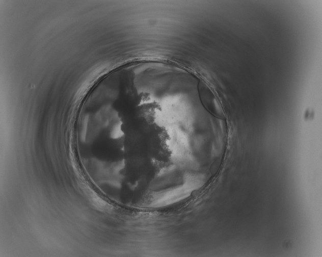 X0000111640145200907311301