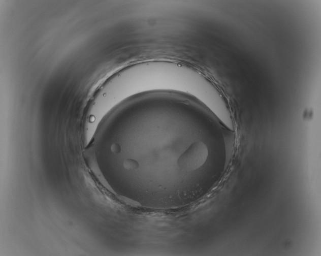 X0000111640146200907311301