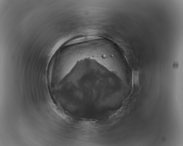 X0000111640147200907311301