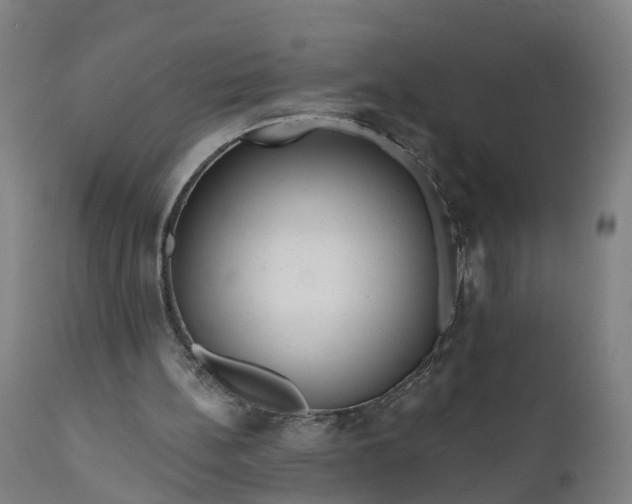 X0000111640148200907311301