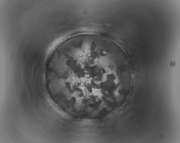 X0000111640149200907311301